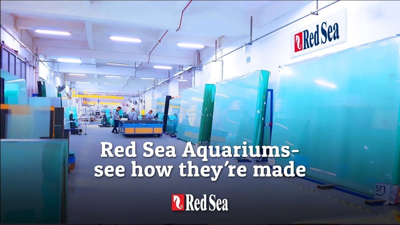 Aquários Red Sea - veja como eles são feitos