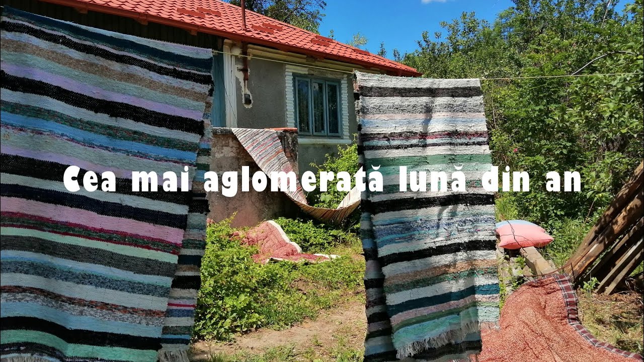 Vlog 3 | Cea mai aglomerată lună din an