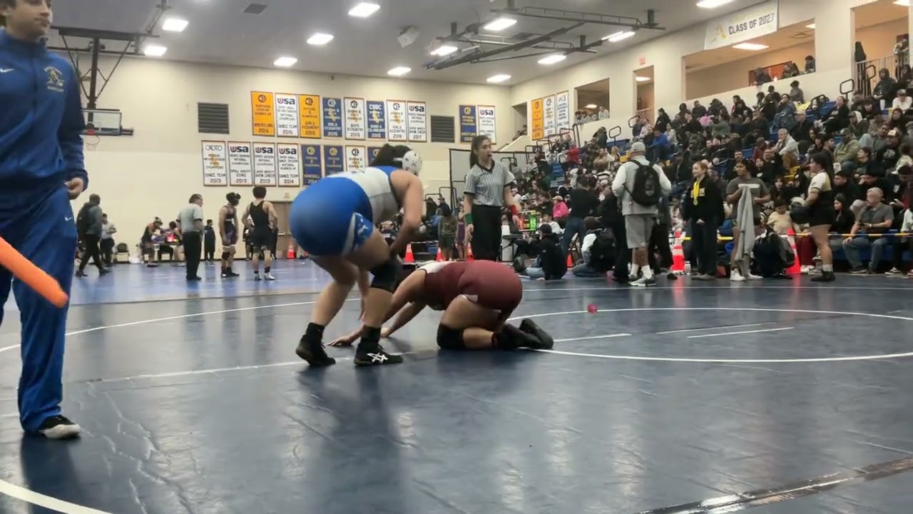 Pegorari, Sofia 4th match