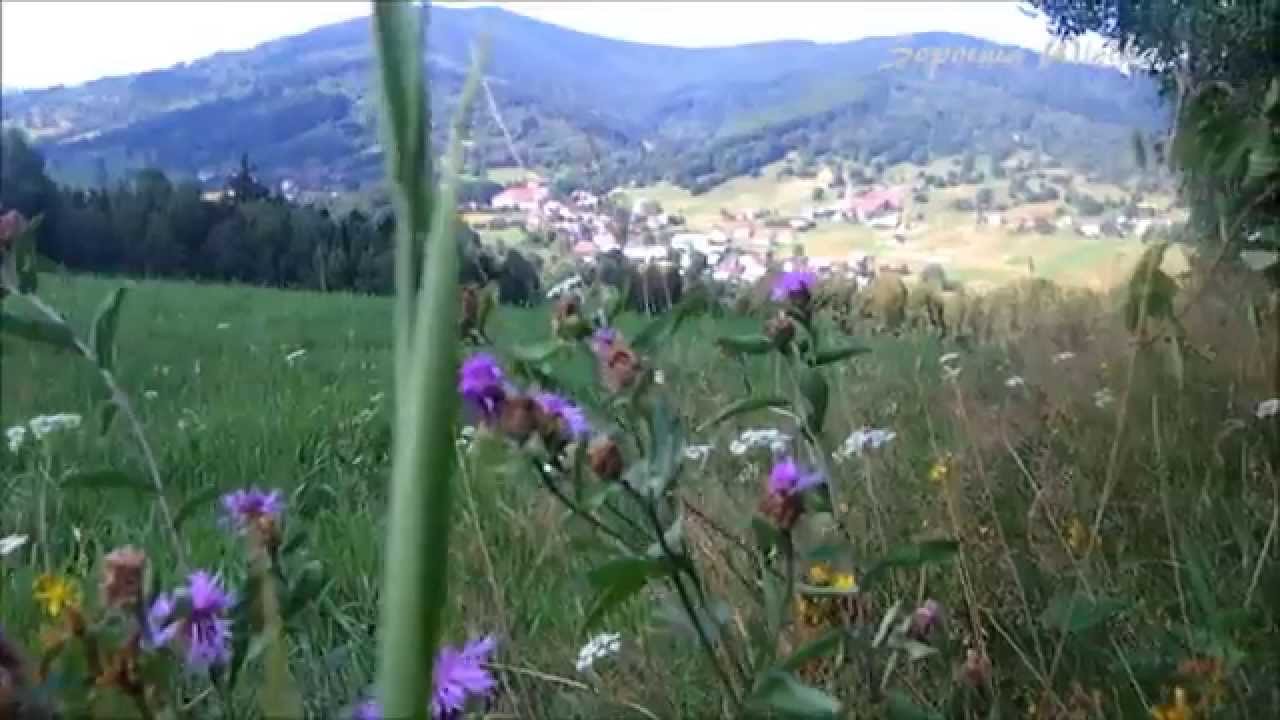 Sopotnia Wielka [PL] - Zielony skarb natury