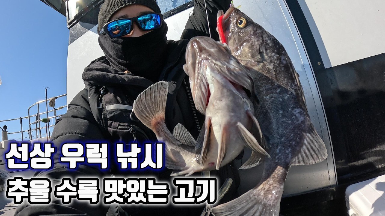 겨울철 몸이 근질근질 할때는 겨울 '선상 우럭 라이트 지깅' 낚시 몸이 뜨거워져 맛도좋아
