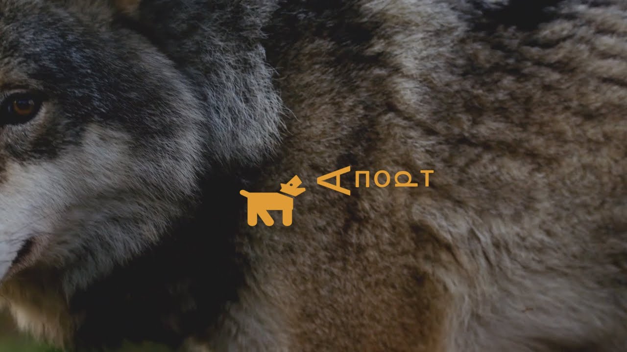 Кеч - Апорт (офіційне відео)