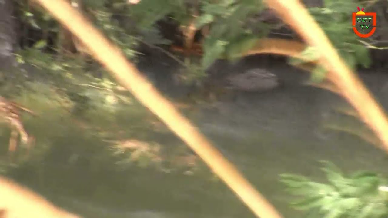 Adide umphakathi amaqanda oThukela 