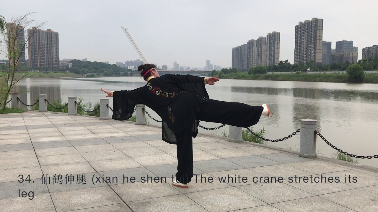 武當太乙游龍拳  Wudan Taiyi You-Long-Quan