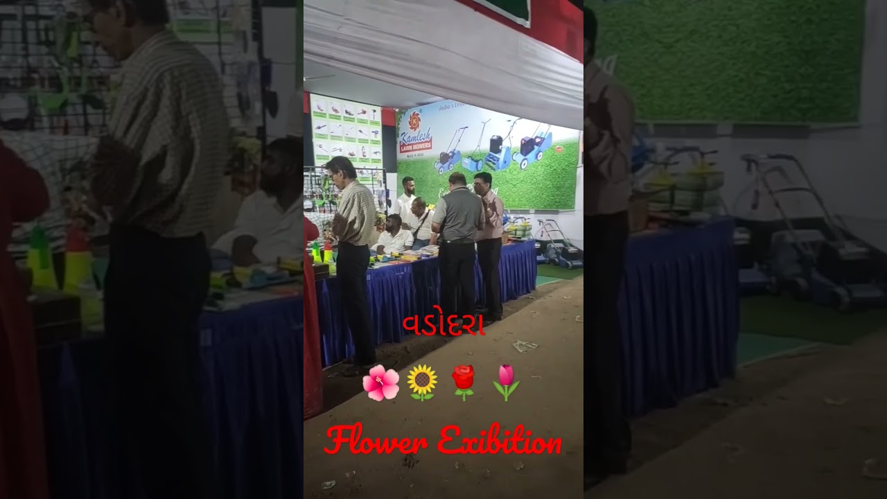 Flower Exibition| Vadodara #vadodara #flowerexhibition #flowers