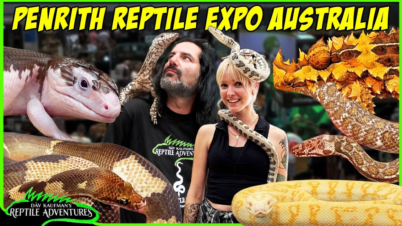 Australian Reptiles you'll never see outside of Australia! Penrith Reptile Expo 2026