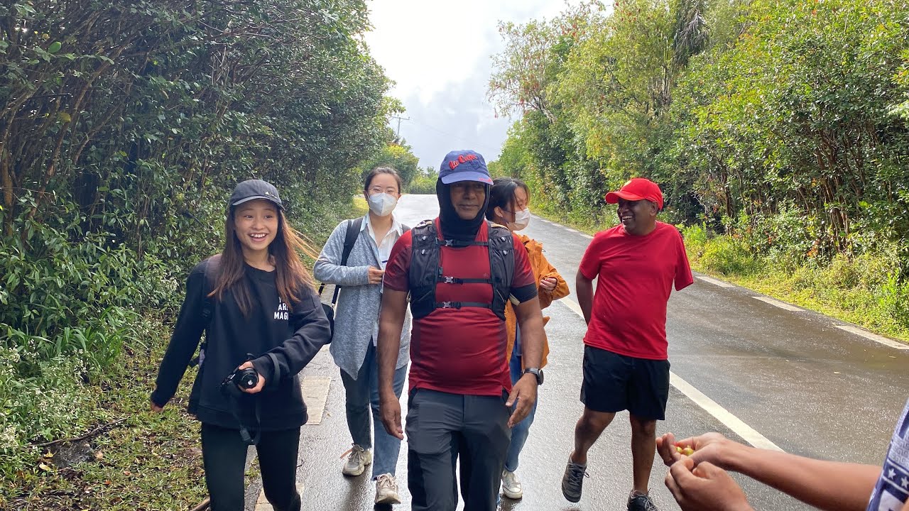 Mountain Trekking- Piton de la petite rivière Noire - 18.09.2022