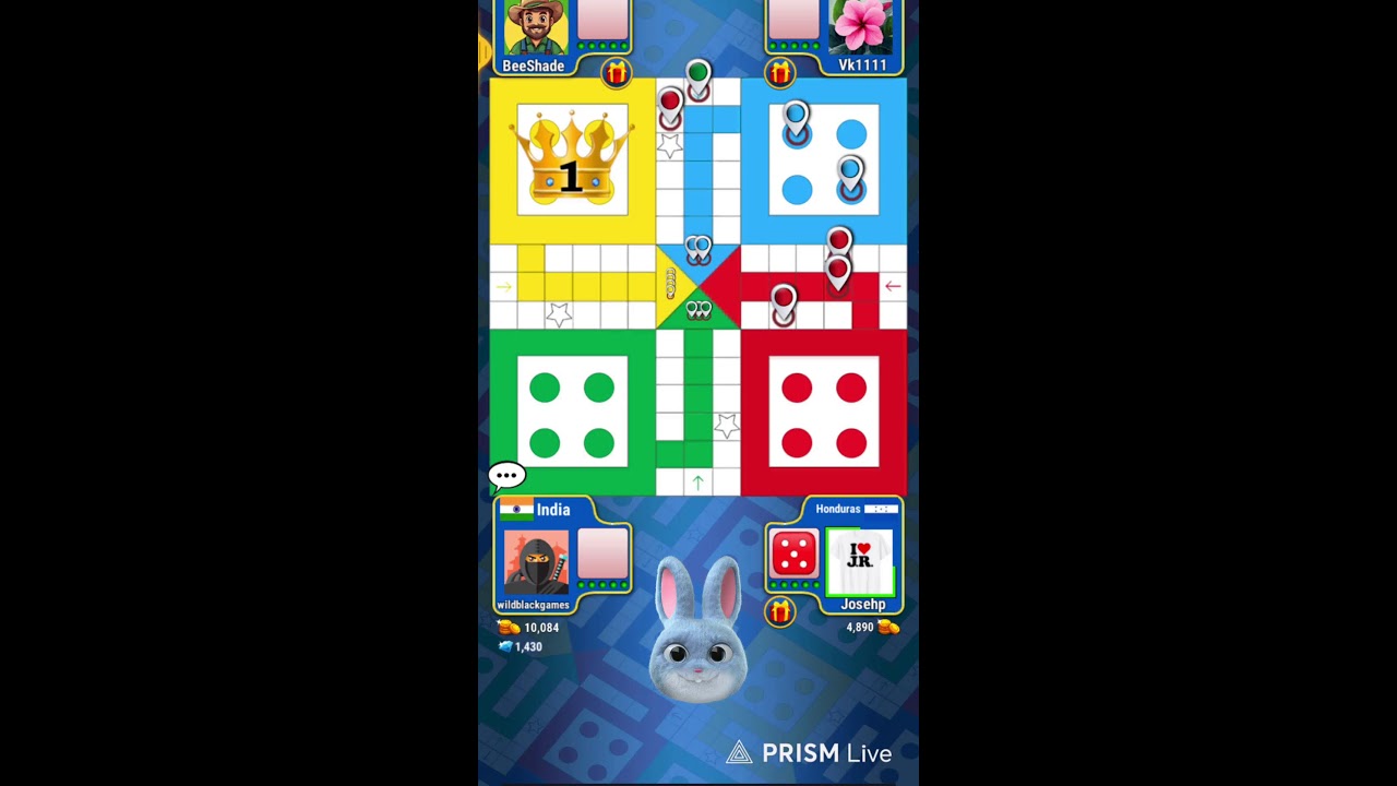 Live streaming of wild BLACK games