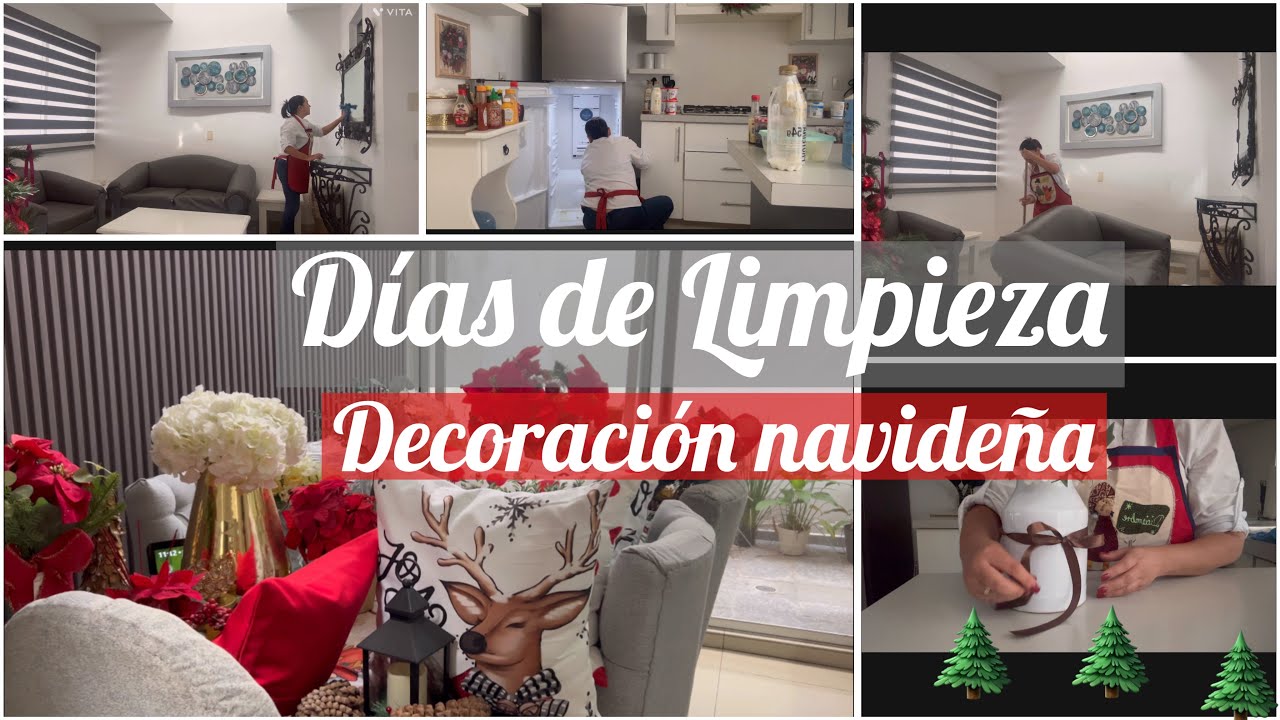 Días de Limpieza en un hogar acogedor Nueva Decoración 🌲