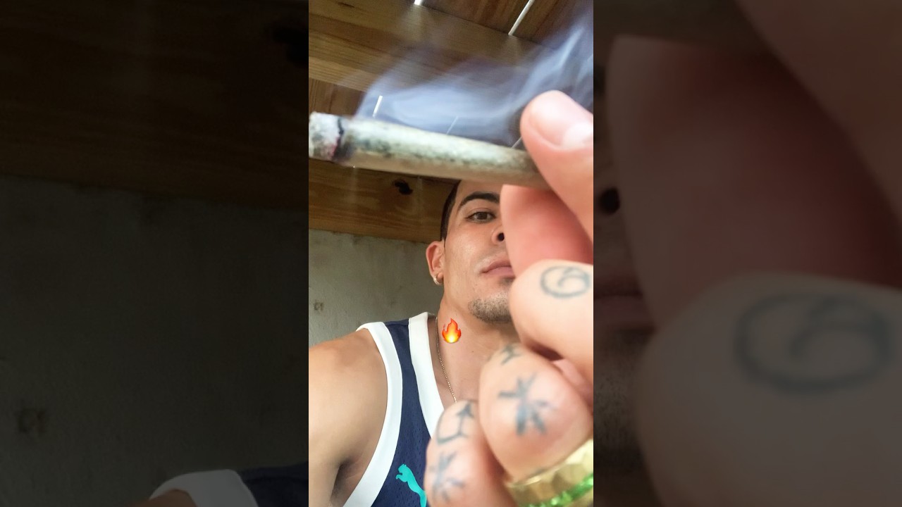 Zour Stash Hash Pre Roll #freetheplant #thcareview #stophempban