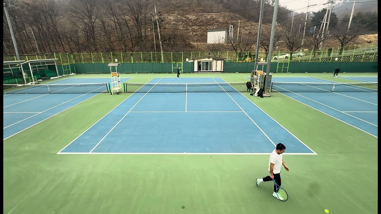 양지 / 요식 / 현상 