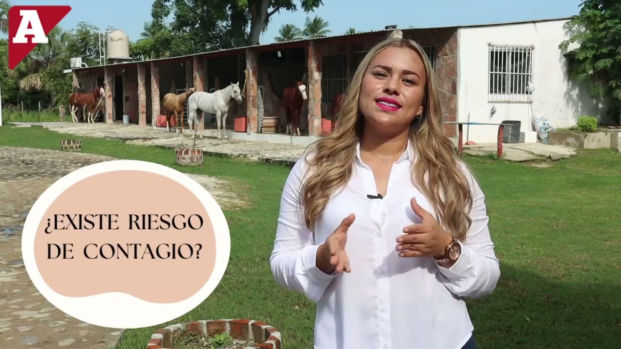 ¿Cómo tratar el Tétano Equino?