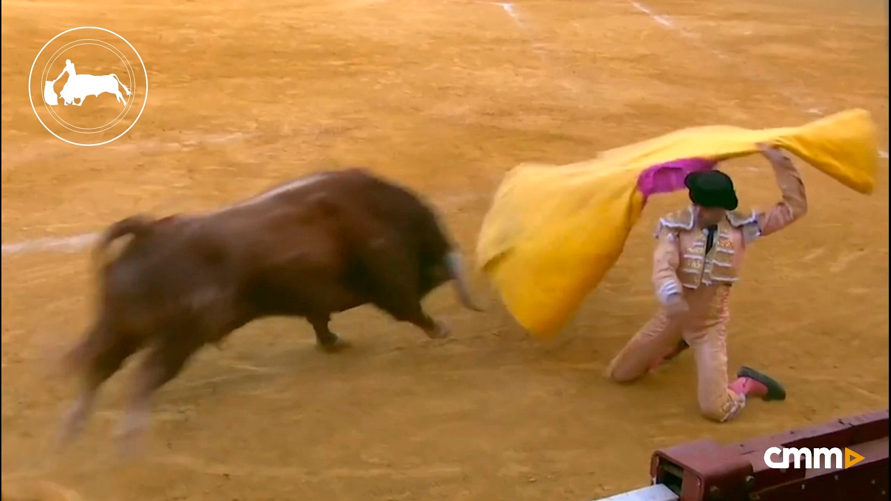 Sánchez Vara, segundo toro, Feria y Fiestas de Almadén (Ciudad Real) 26-07-2024