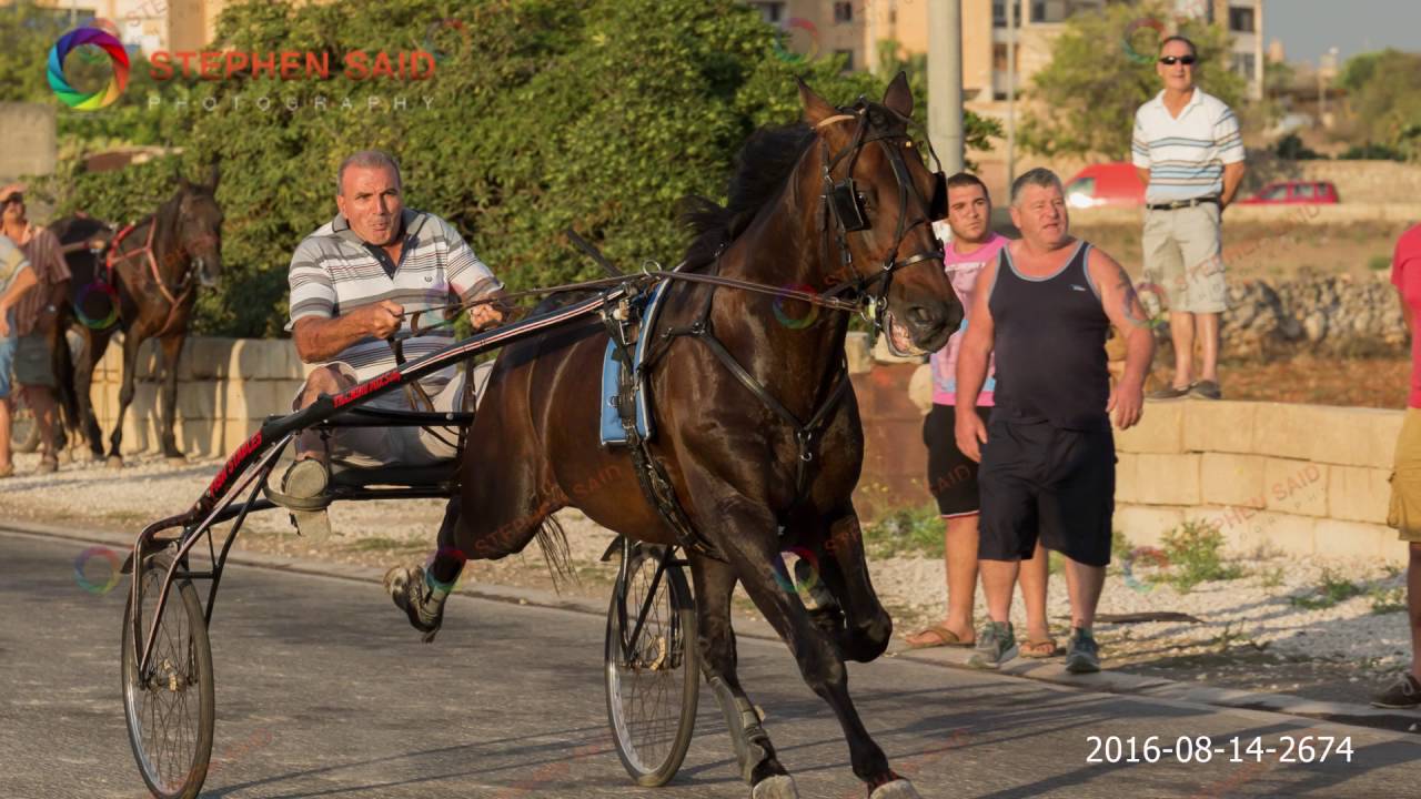 Zejtun 2016 08 14