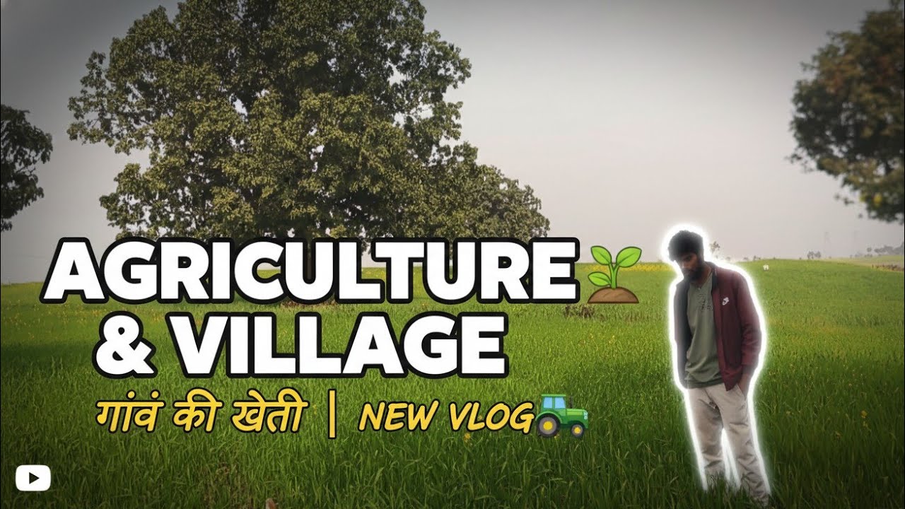 Gaon Ki Kheti Aur Sukoon 🌾 | My Agriculture Vlog