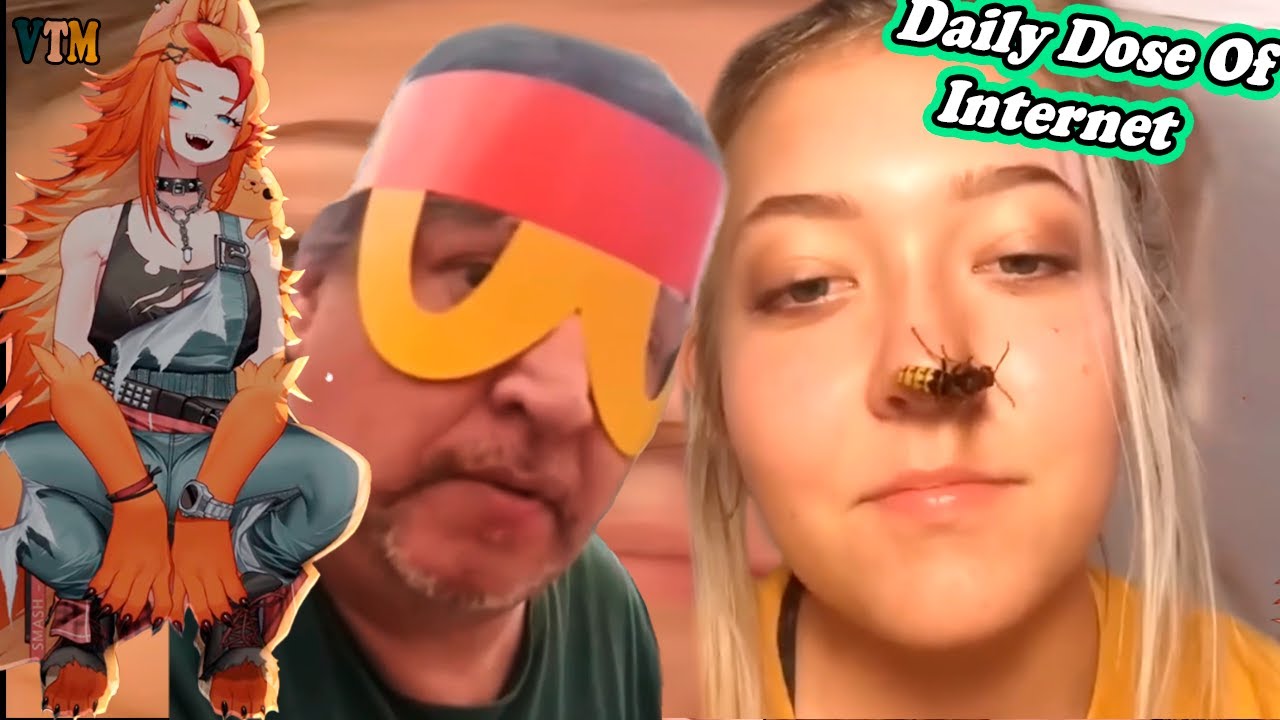 BuffPup Vtuber Reacts To Memes | Daily Dose Of Internet | Try Not To Laugh