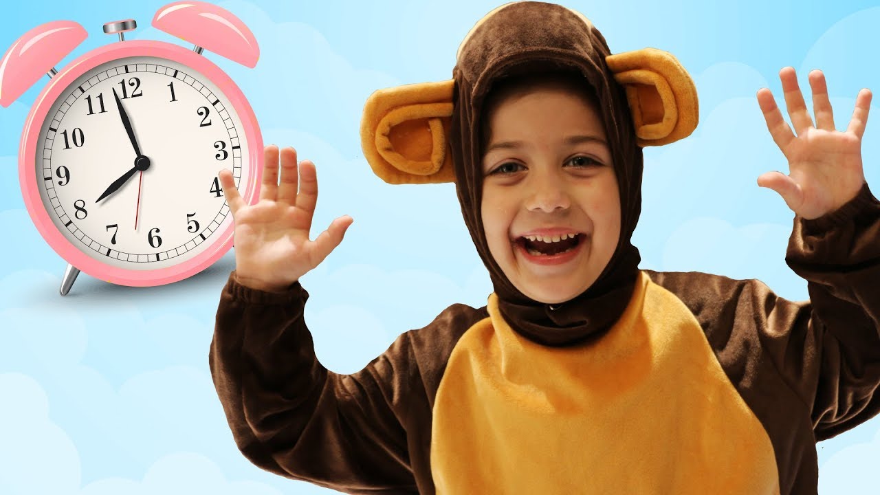 Как проводит свой день веселая маленькая обезьянка