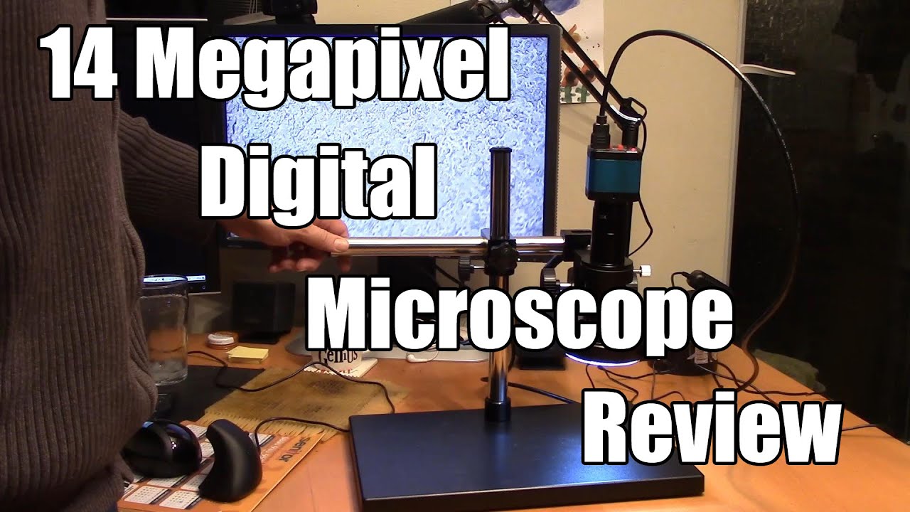 Lapsun 14MP Digital Microscope Review
