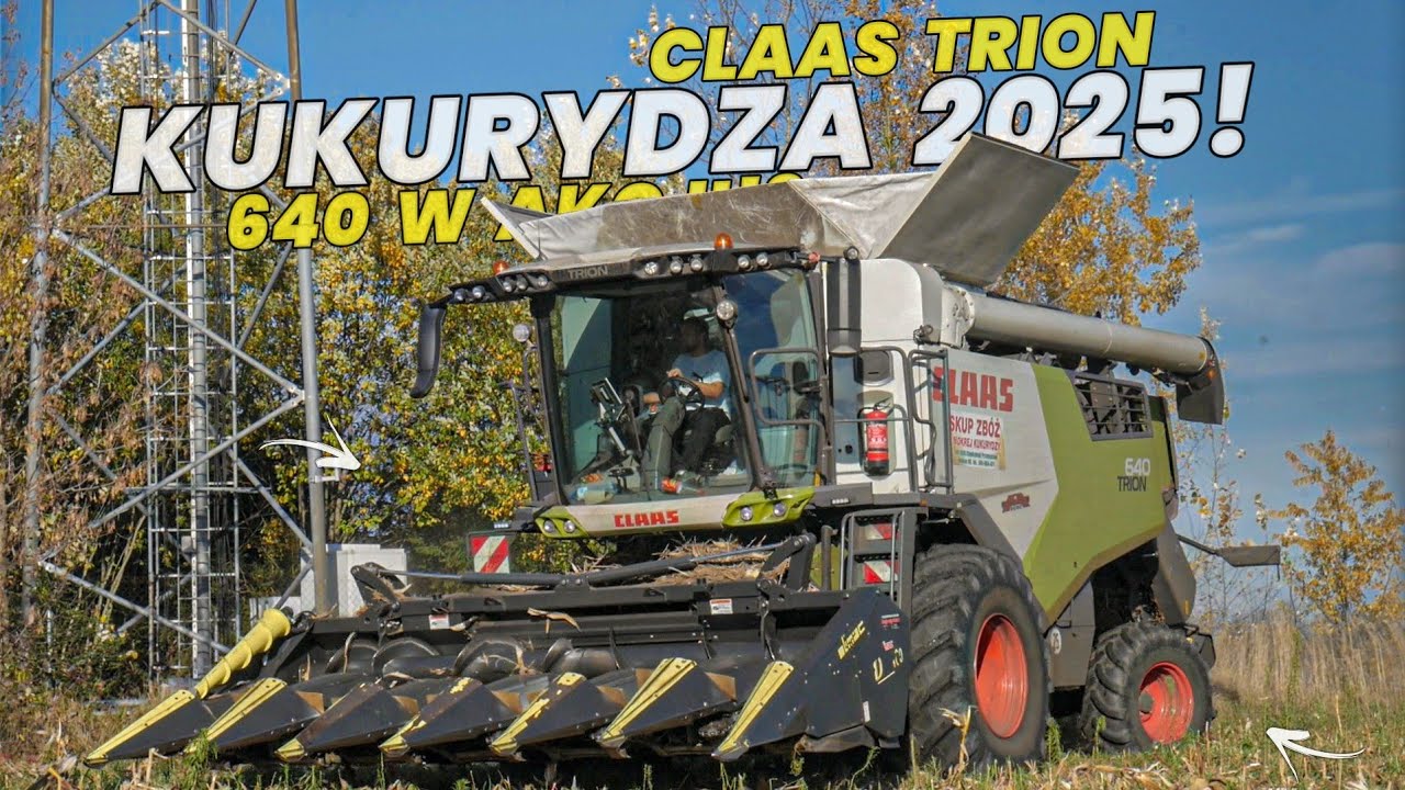 ☆Wieś W Szoku!?☆Szybkie Koszenie Kukurydzy Na Ziarno 2025!☆Claas Trion 640 W Akcji!?☆Gr Chojecki☆