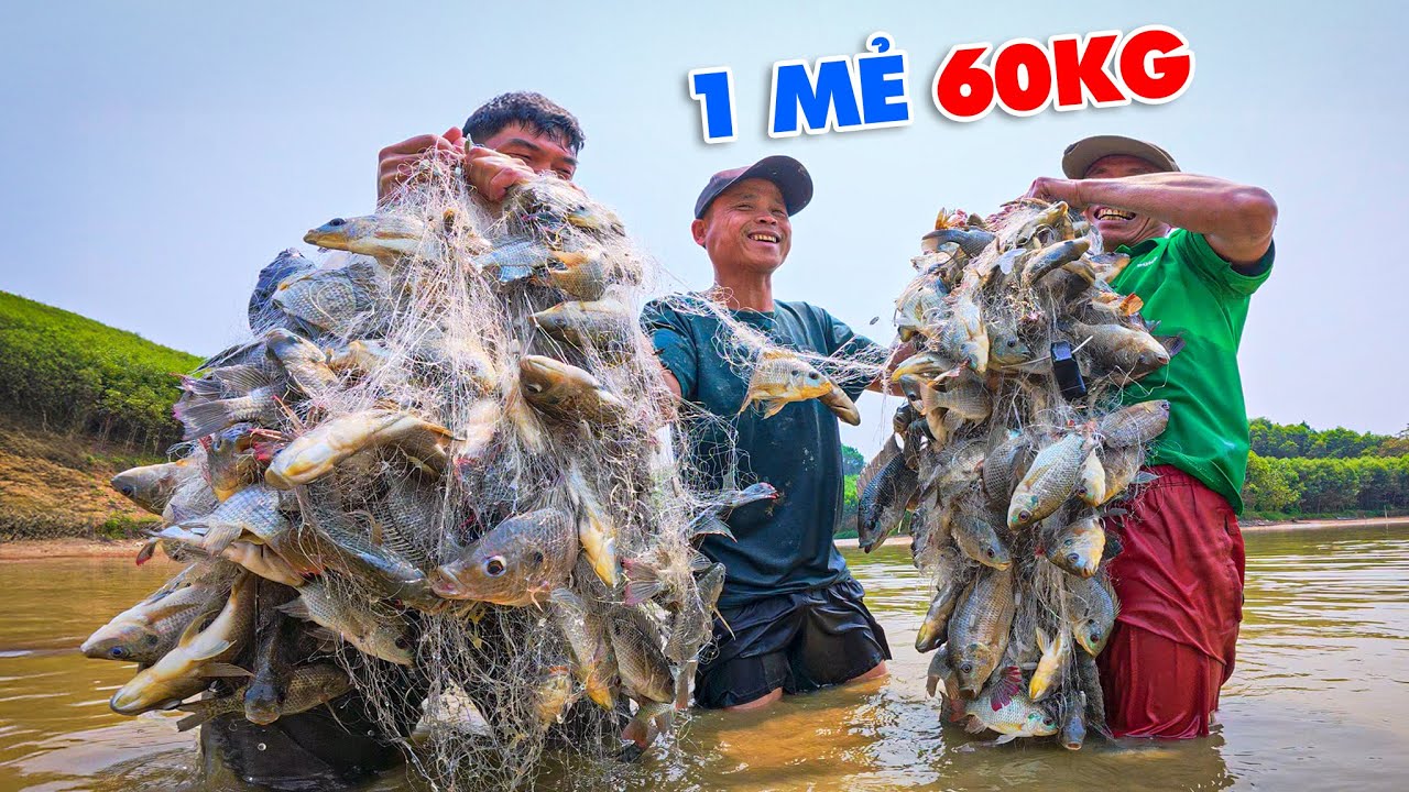 Ao 40 Triệu Phần 5 : Lỡ Dại Thả 2 Tay Lưới Bắt Cá Rô Và Ngồi Gỡ Cả Tiếng Đồng hồ.