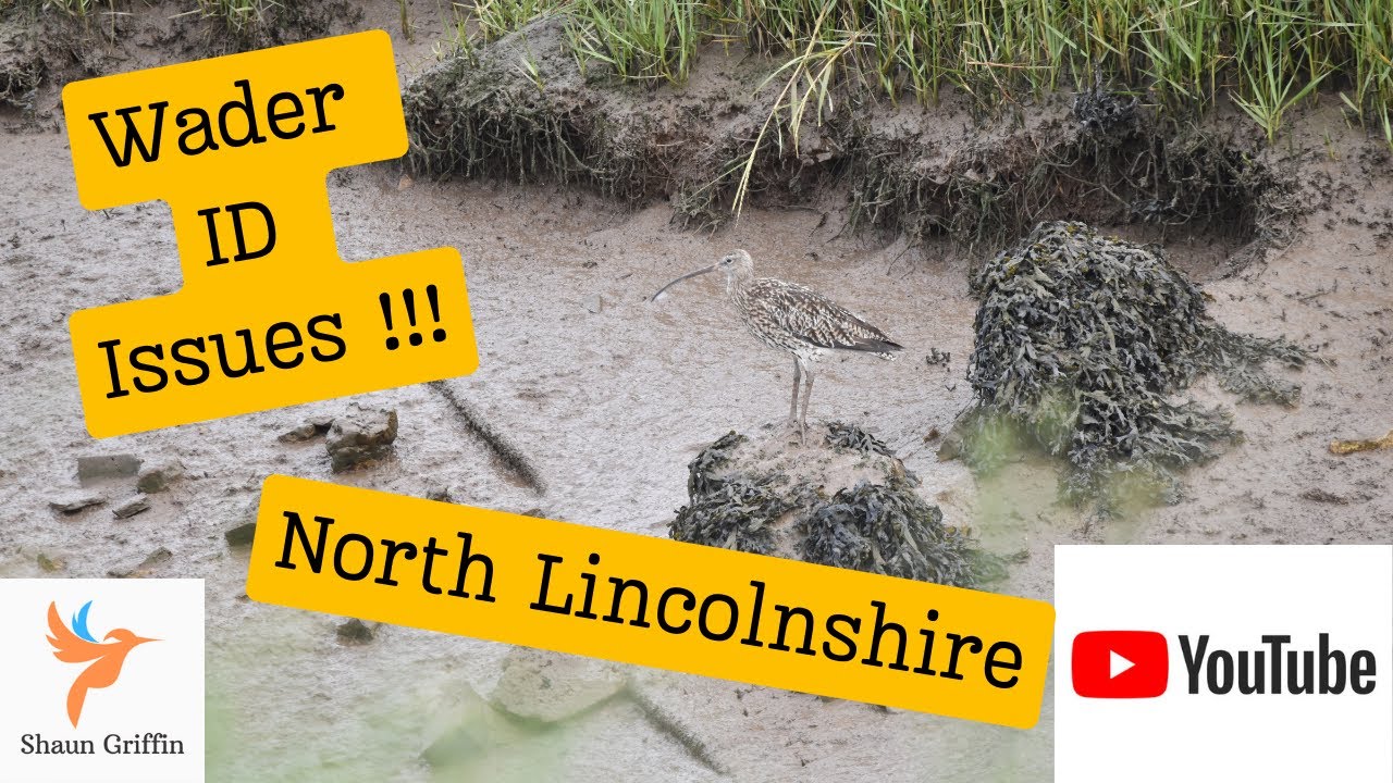 East Halton Skitter - North Lincolnshire (Aug 24)