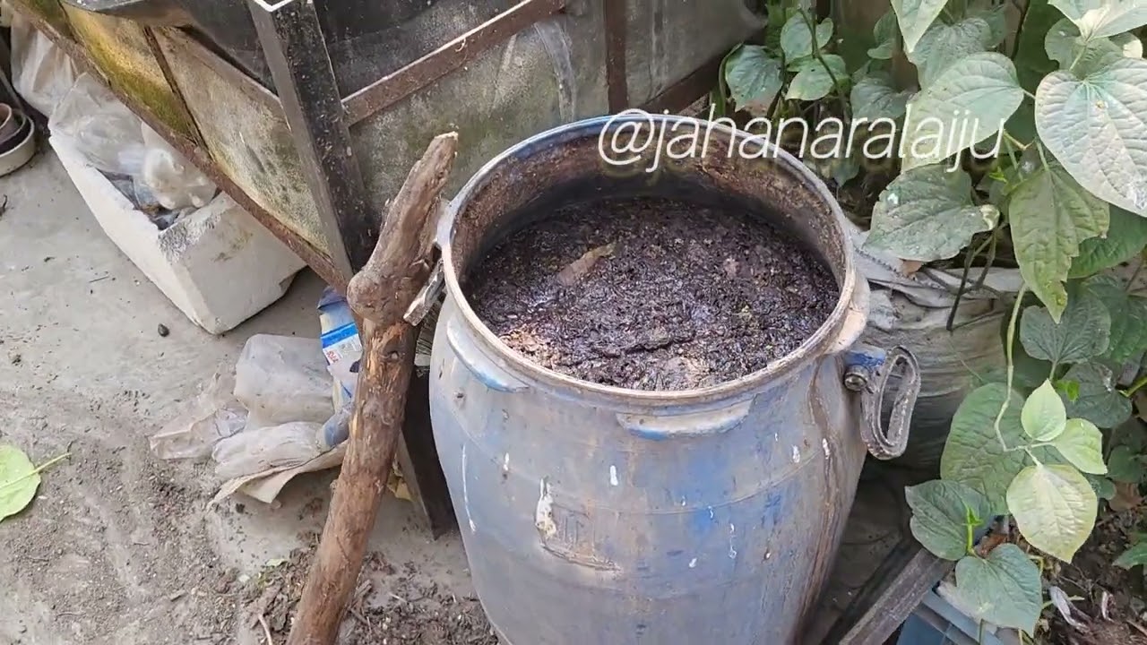 শূন্য খরচে শক্তিশালী ও আদর্শ জৈব সার কিভাবে তৈরি করি।। কম্পোস্ট বা জৈবসার তৈরি।।