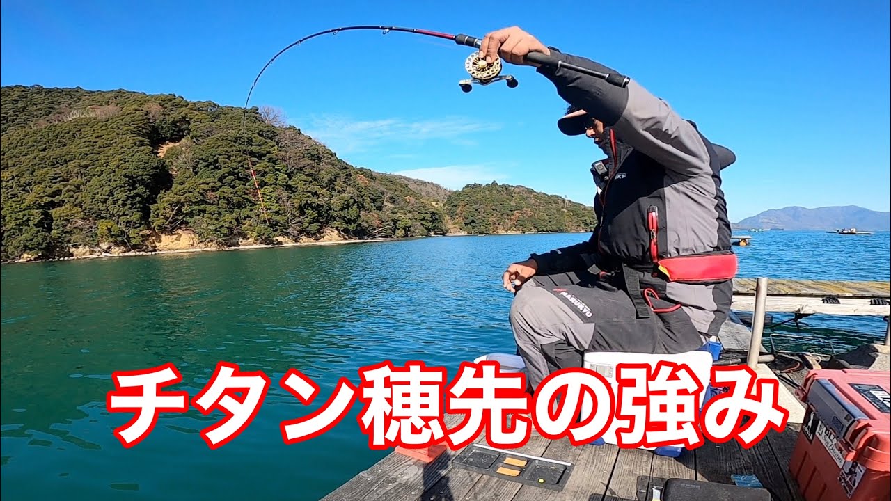 一度くわえたら離さない【チヌかかり釣り.はやし渡船.黒鯛工房】