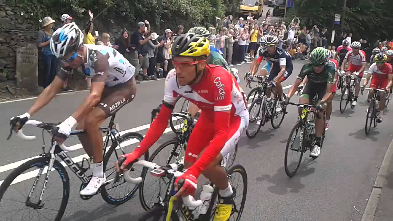TDF 2014
