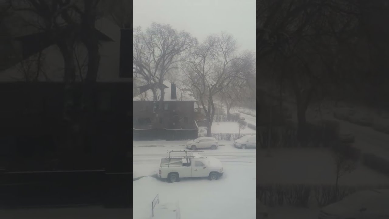 Snowfall in Calgary