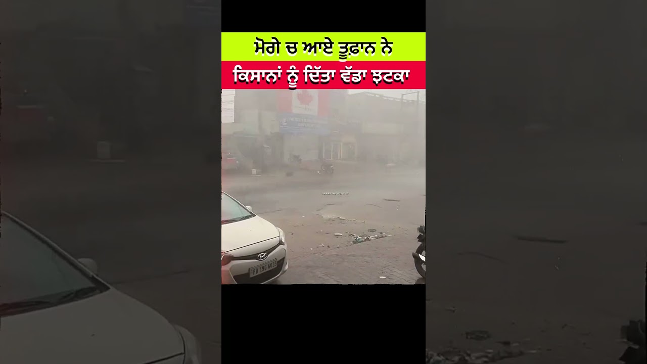 kissan bhrava da moga ch boht nuksan hogyaa moga weather news