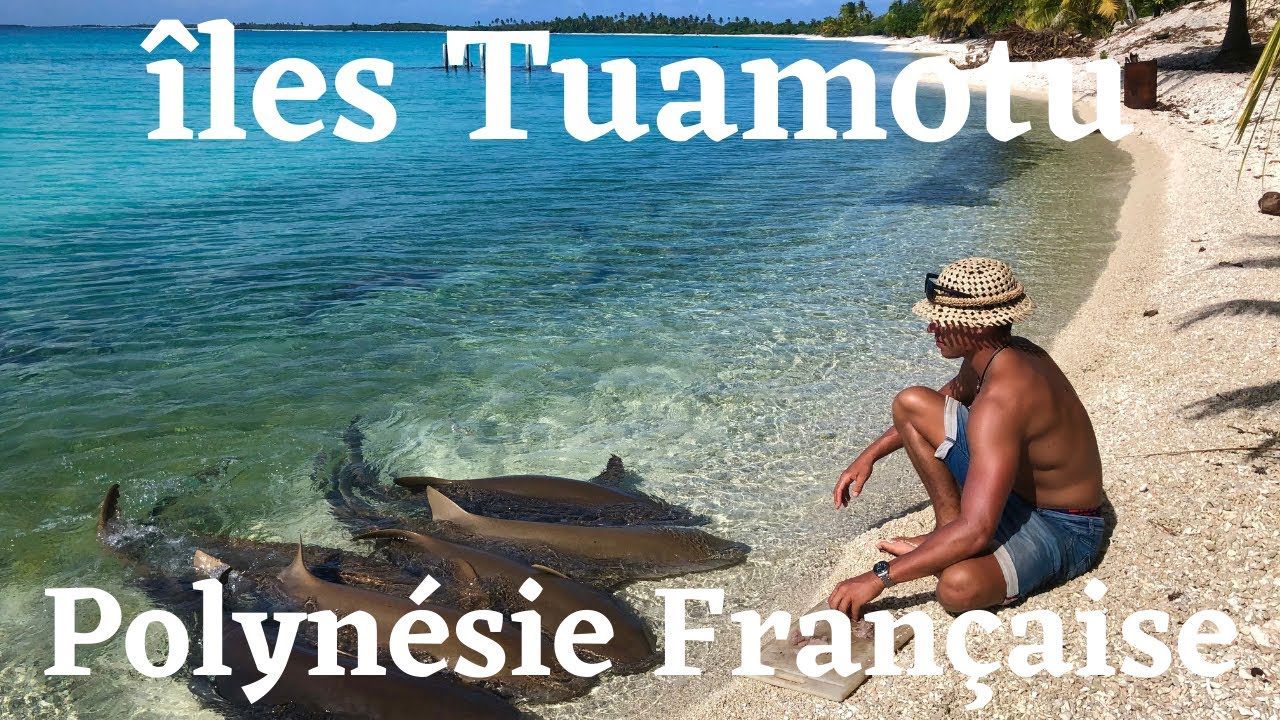 ÎLES TUAMOTU - Polynésie Française - FAKARAVA/ TAHANEA/ APATAKI/ ARATIKA/ ARUTUA/ RANGIROA/ TIKEHAU