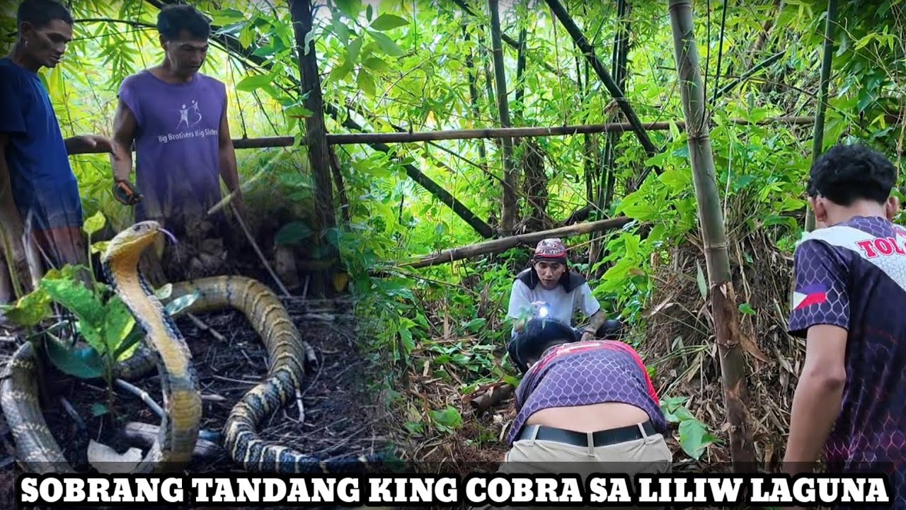 BANAKON SA LUNGGA NG GABUNAN SA LILIW LAGUNA PART || #cobraprince