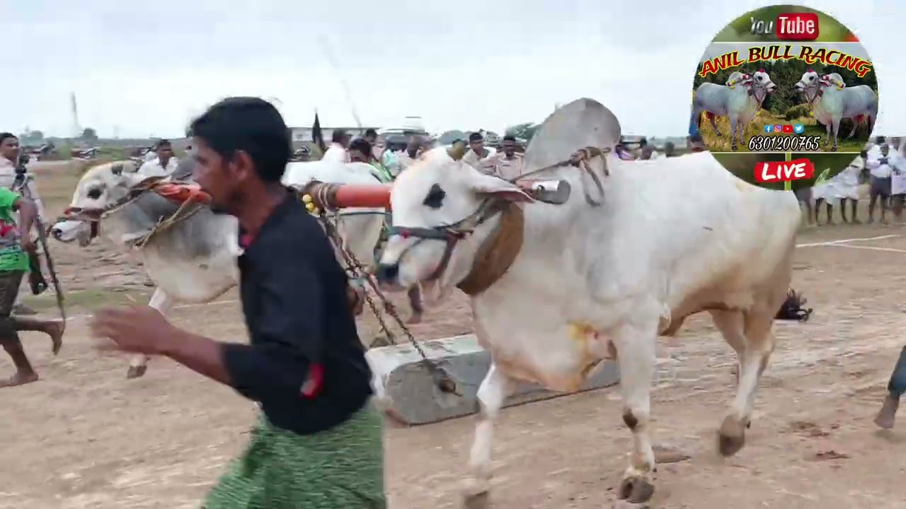 శ్రీ అబ్దుల్ బాబా స్వామి చింతకుంట 2పళ్ళు గుమ్మల్ల సాయికుమార్ రెడ్డి&D CSR అయోధ్య నగర్ ప్రొద్దుటూరు 