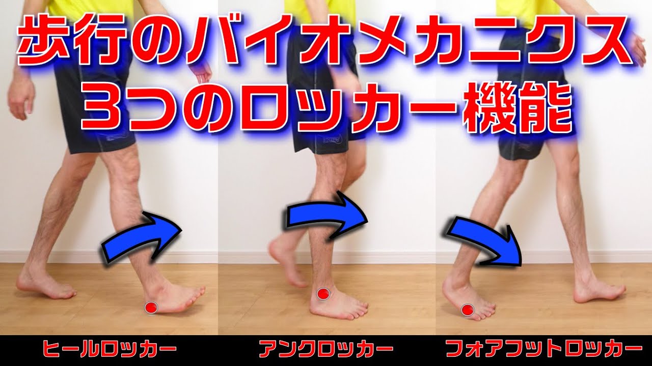 【理学療法士×歩行】身体を前進させる機能を持つ3つのロッカーファンクションを解説します！