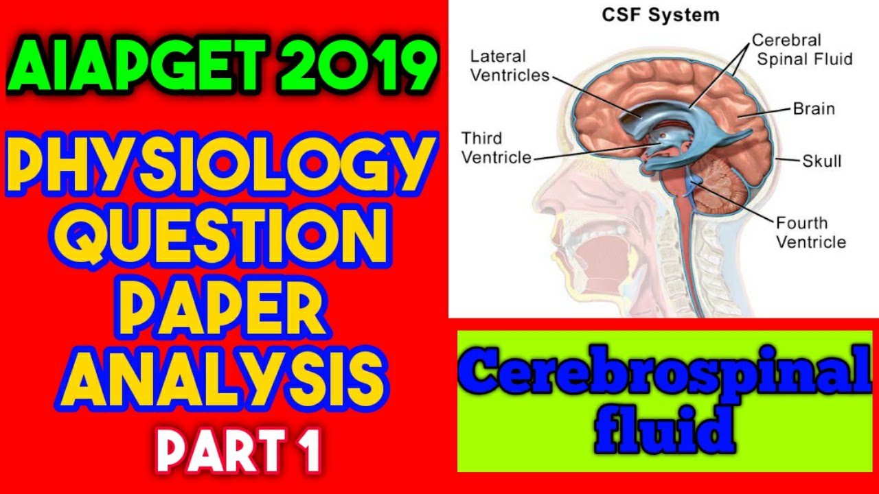 AIAPGET Homoeopathy | Cerebrospinal fluid | AIAPGET 2019 Question Paper Analysis | Physiology Part 1