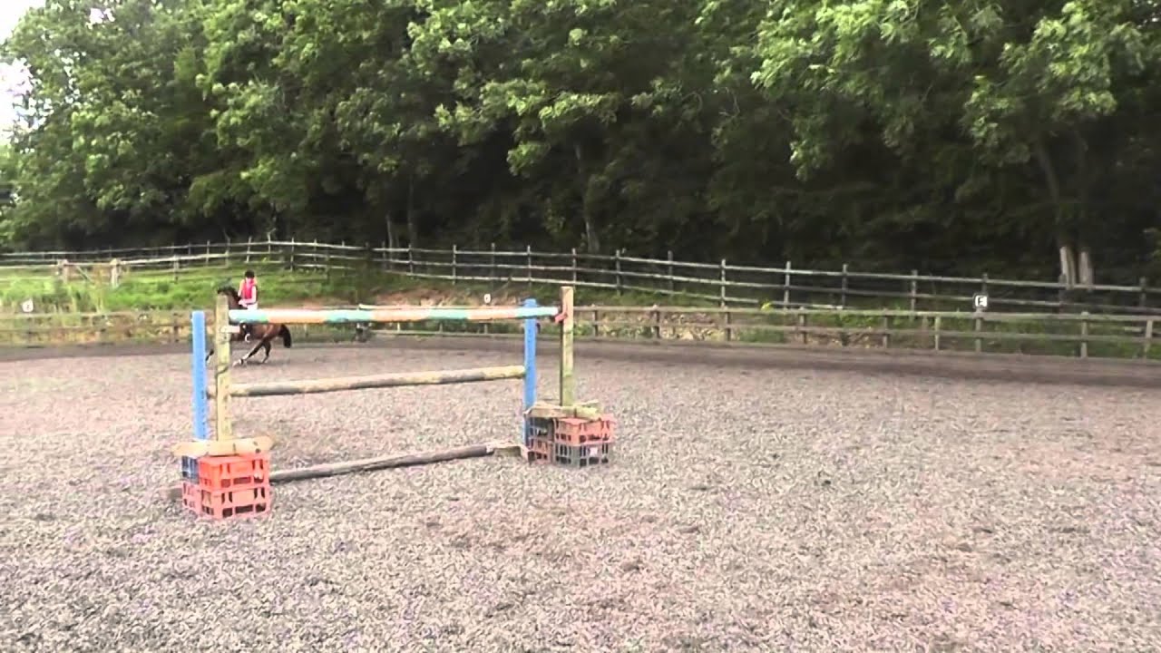 Bobby jumping 1.45m