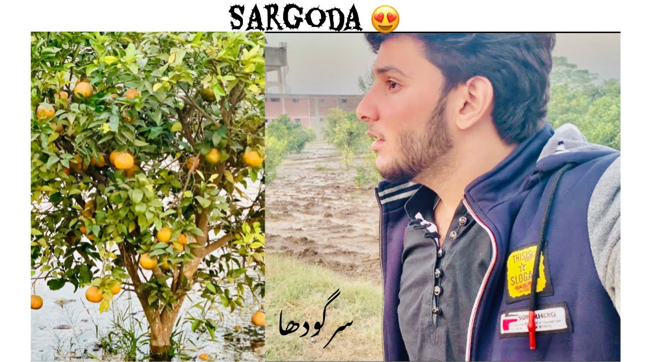 Sargoda - سرگودھا | Vlog #1