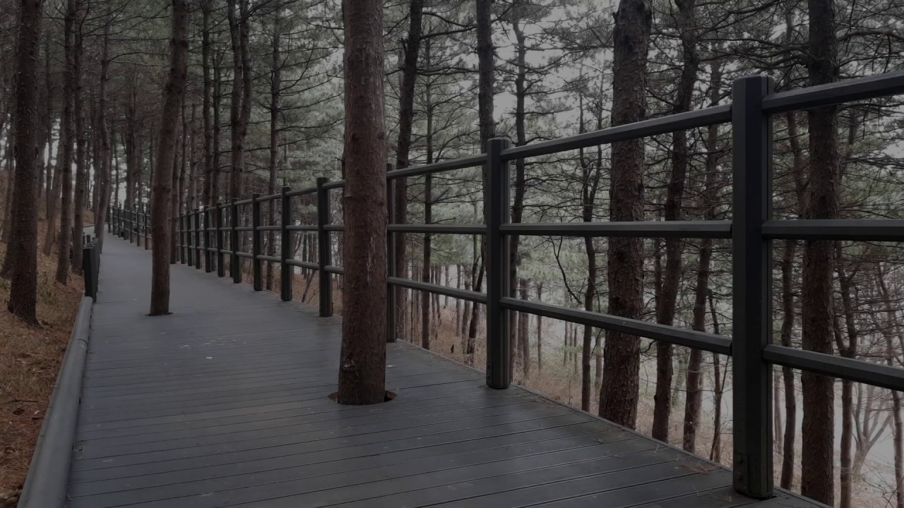 안산 나들이