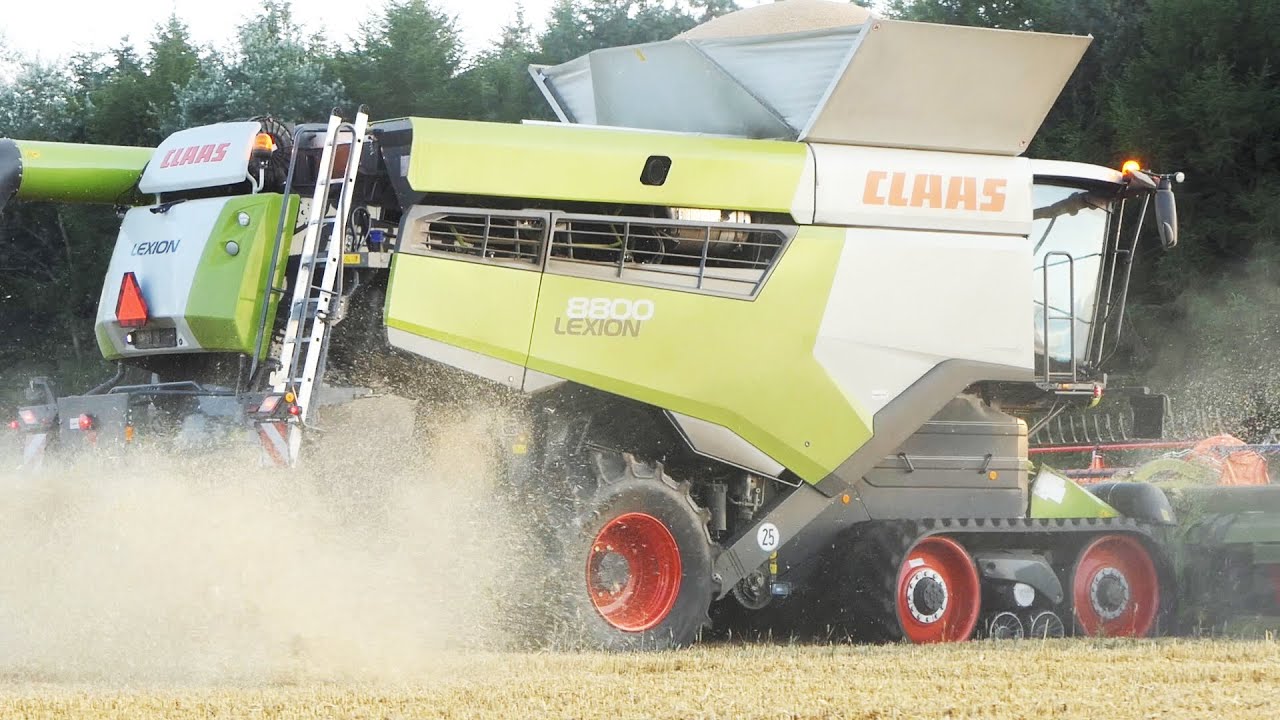 Claas Lexion 8800 in the field harvesting Wheat | Harvest Season 2021 | BIG Combine & Farming