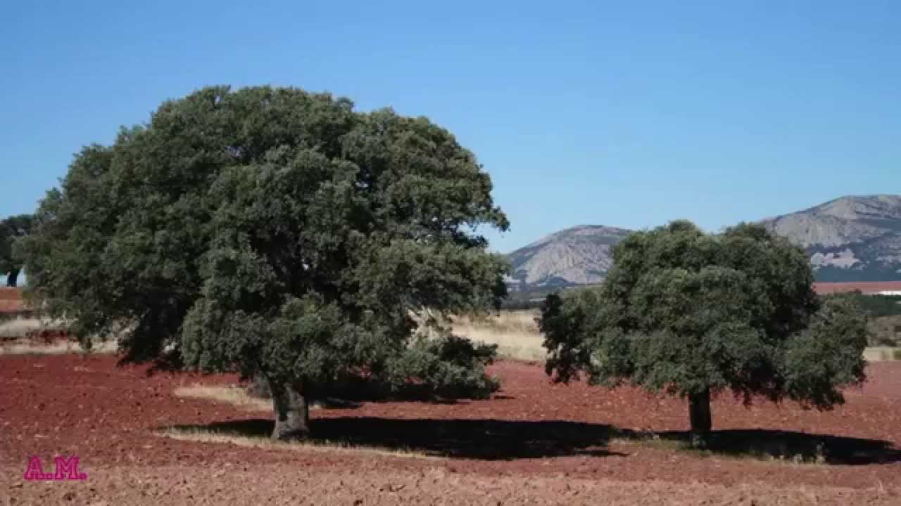 Bienservida y Santuario de Turruchel (Albacete)