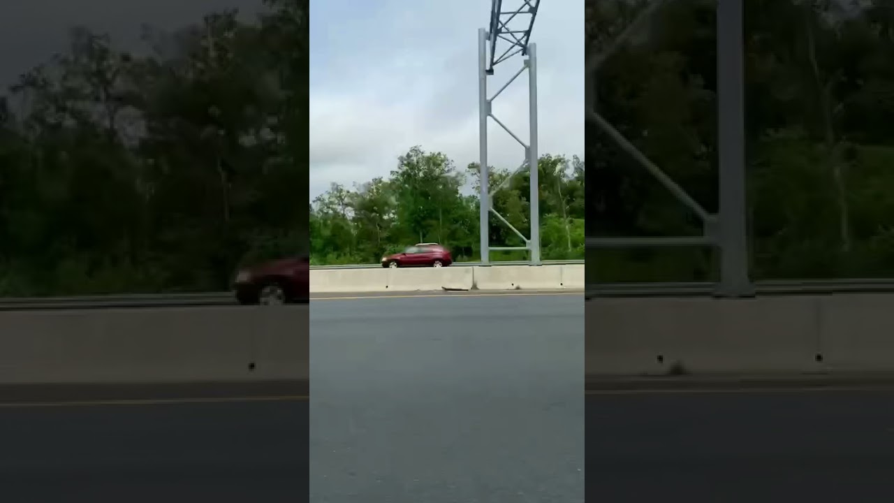 Shelby GT350 with Resonator Delete and Mustang GT with Corsa Extreme Catback Flyby #shorts