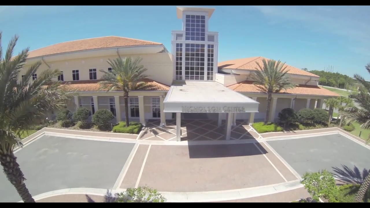 Mannequin Challenge (Clean, Instrumental) - Florida Hospital Nicholson Center
