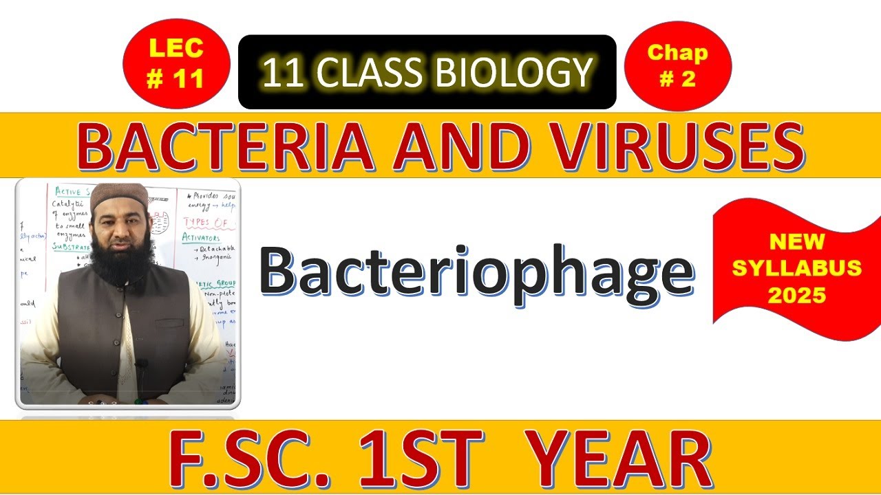 Bacteriophage | BACTERIA AND VIRUSES | Chapter 2| F.Sc. 1st Year Biology | L# 11