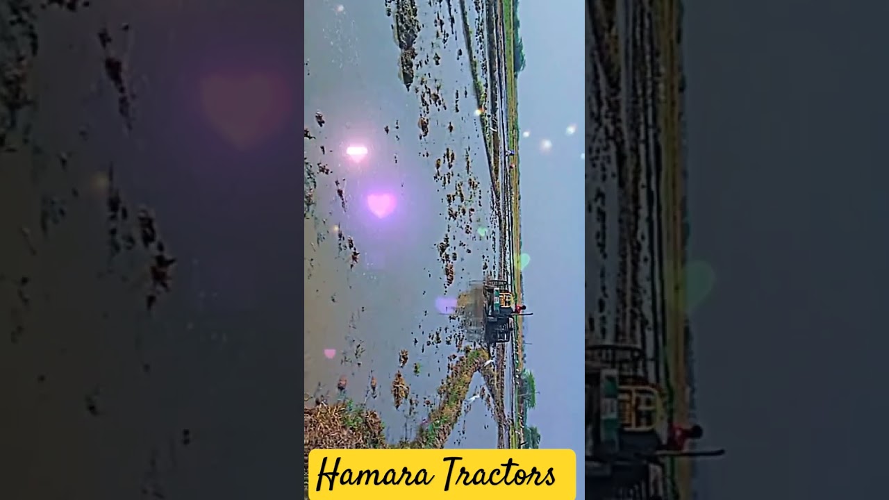 Cultivting in mud#tractor #trending #congress #bjp #brs #farming #funny #trendingshorts #dance #love