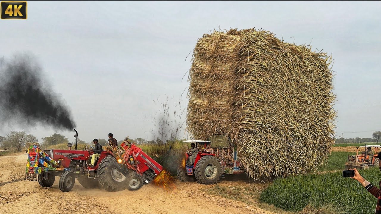mf 385 tractor unbelievable power 💪 | tractors pulling heavy loaded sugarcane trolley | 4k Ultra HD