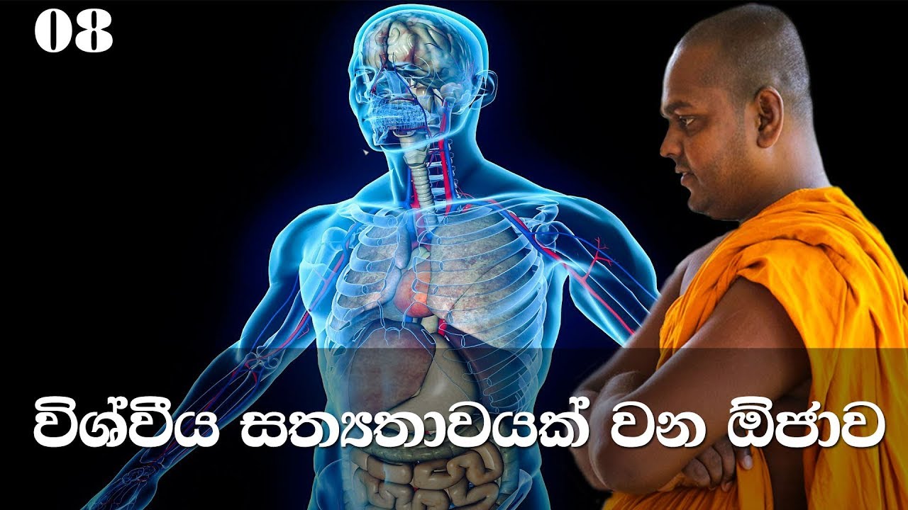 මහා සිංහ නාදය | අභිධර්මය | 08