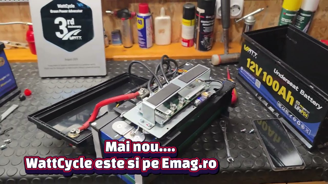 Ce are la interior o baterie LiFePO4 de 100ah WattCycle 