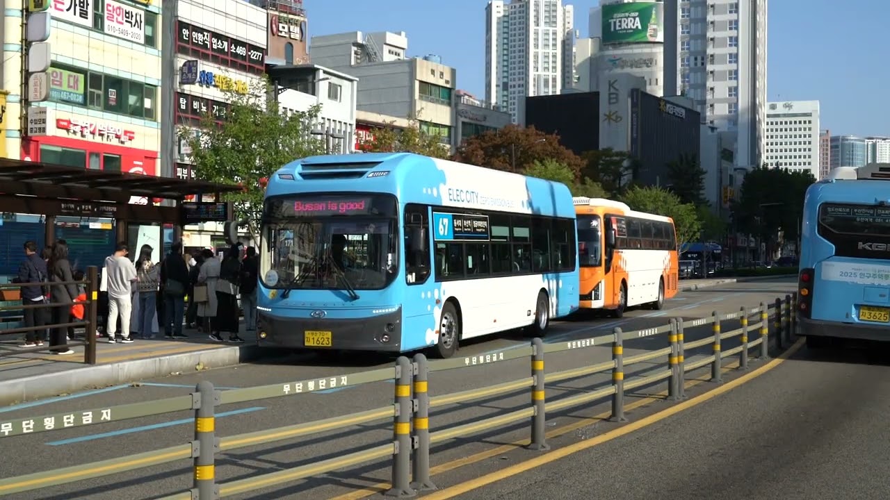 Bus stop in front of Busan railway station   釜山駅バス停　고도로 발달한 부산 버스 교통 시스템