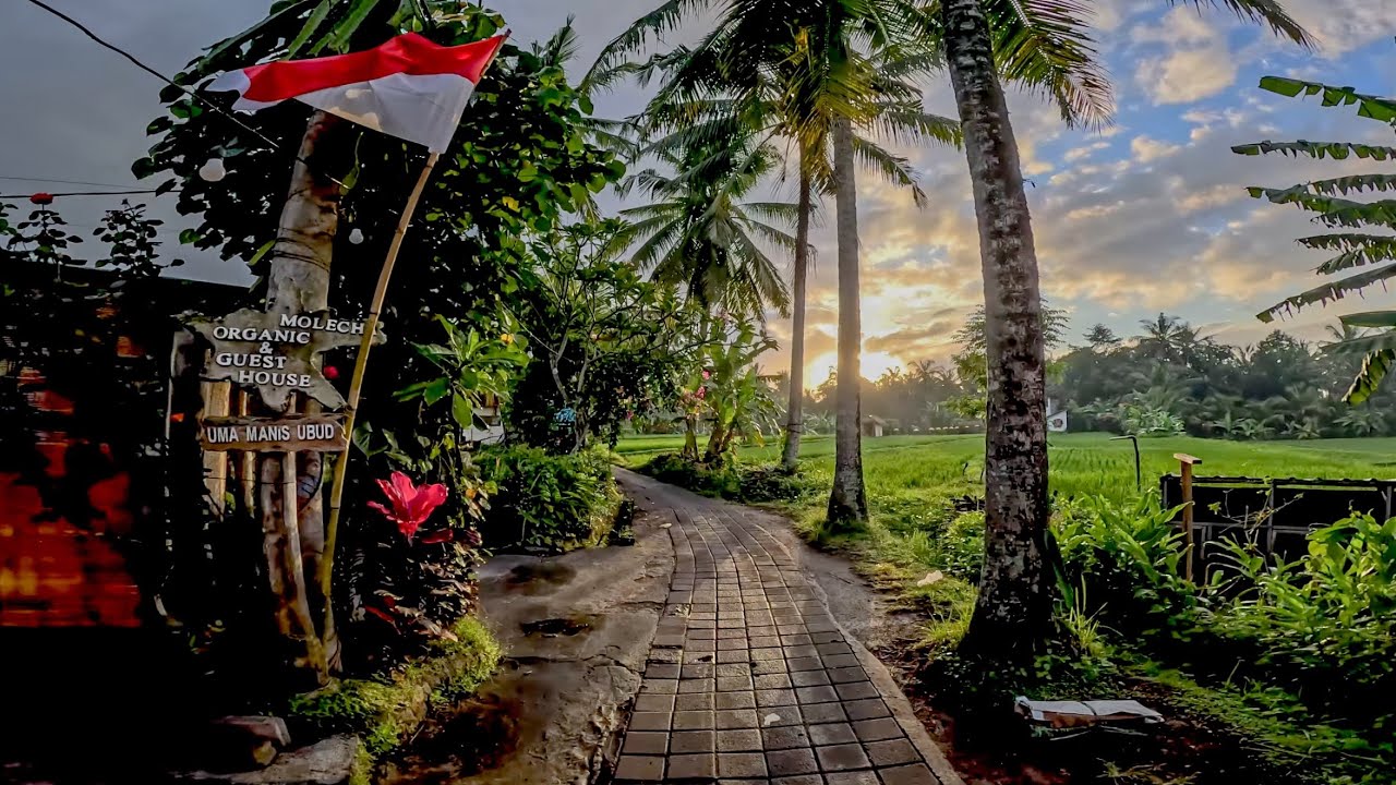 JOGGING PAGI DI JALAN SUBAK SOK WAYAH UBUD