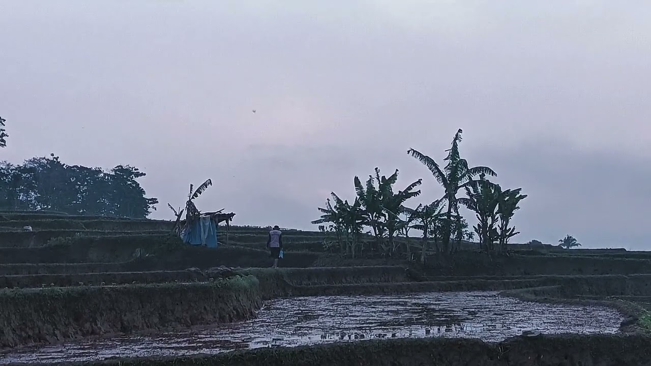 PEMBERDAYAAN MASYARAKAT POTENSI DESA CIHERANG 